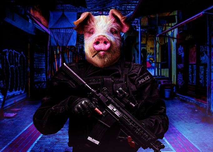 PIGZ