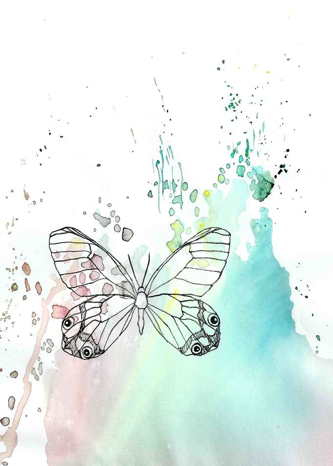 Butterfly Explosion