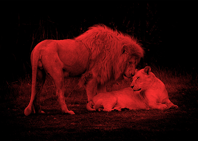 Passion