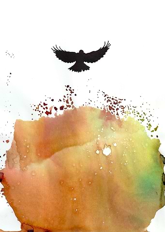 Phoenix The Fire of Flight