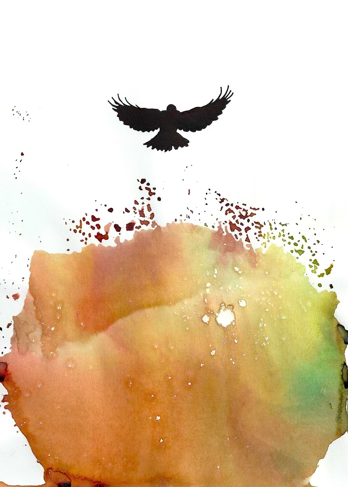 Phoenix The Fire of Flight