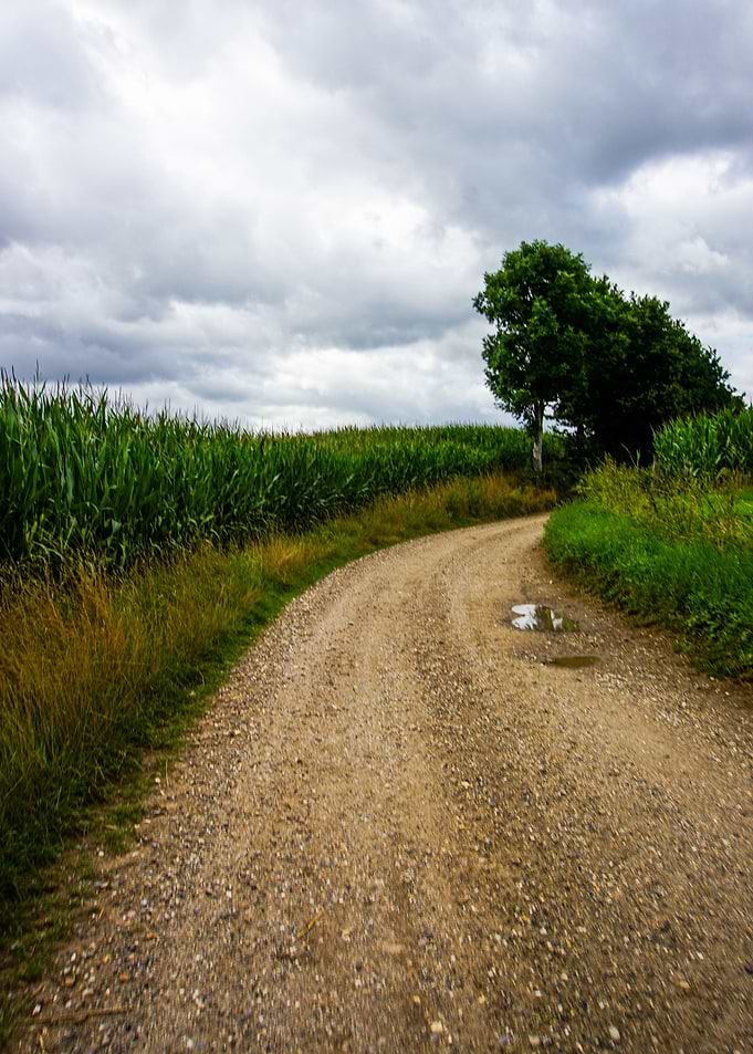 Dutch Nature