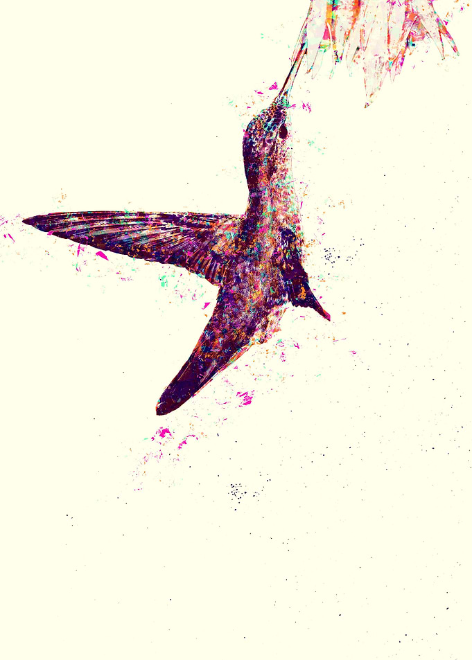 Hummingbird