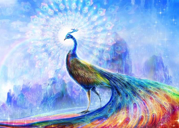 Rainbow Peacock