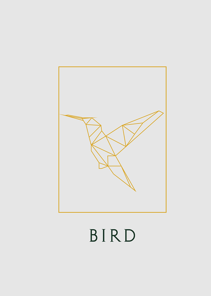 bird 2