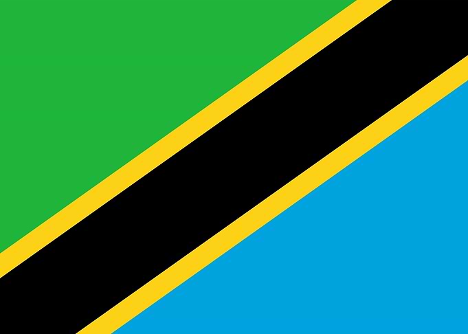 TANZANIA Flag