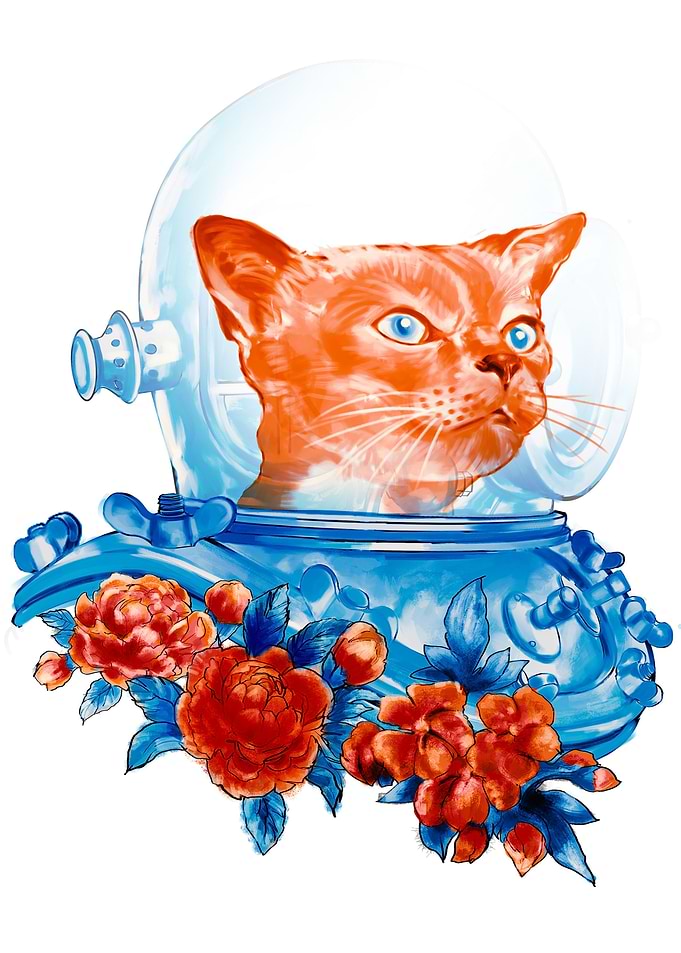 Deep Diver Cat
