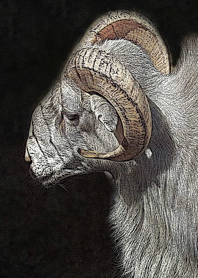 Ram HDR