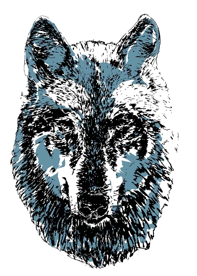 Winter Wolf