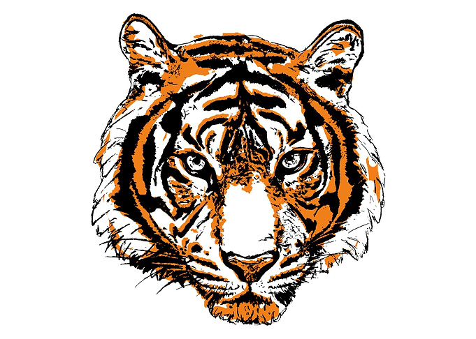 Flawless Tiger