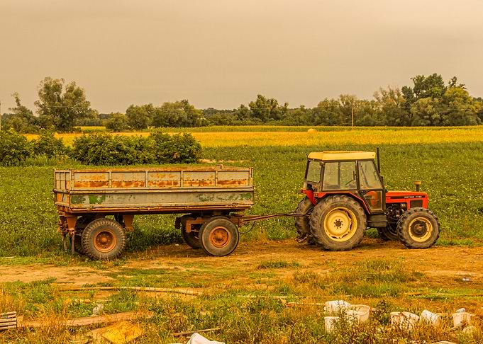 Polish farming