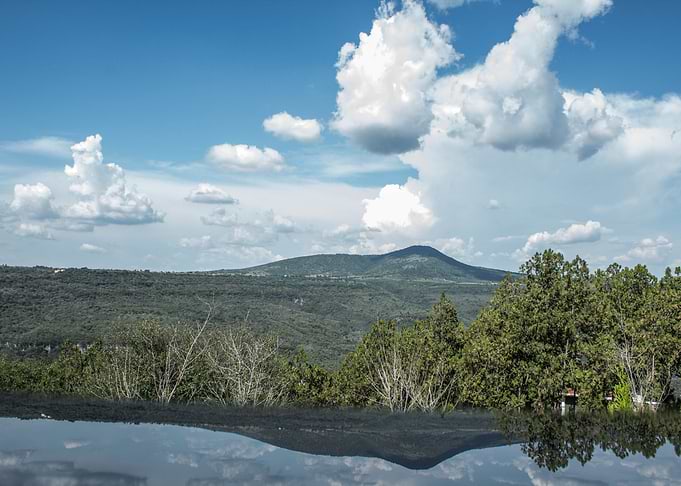 THE LANDSCAPE
