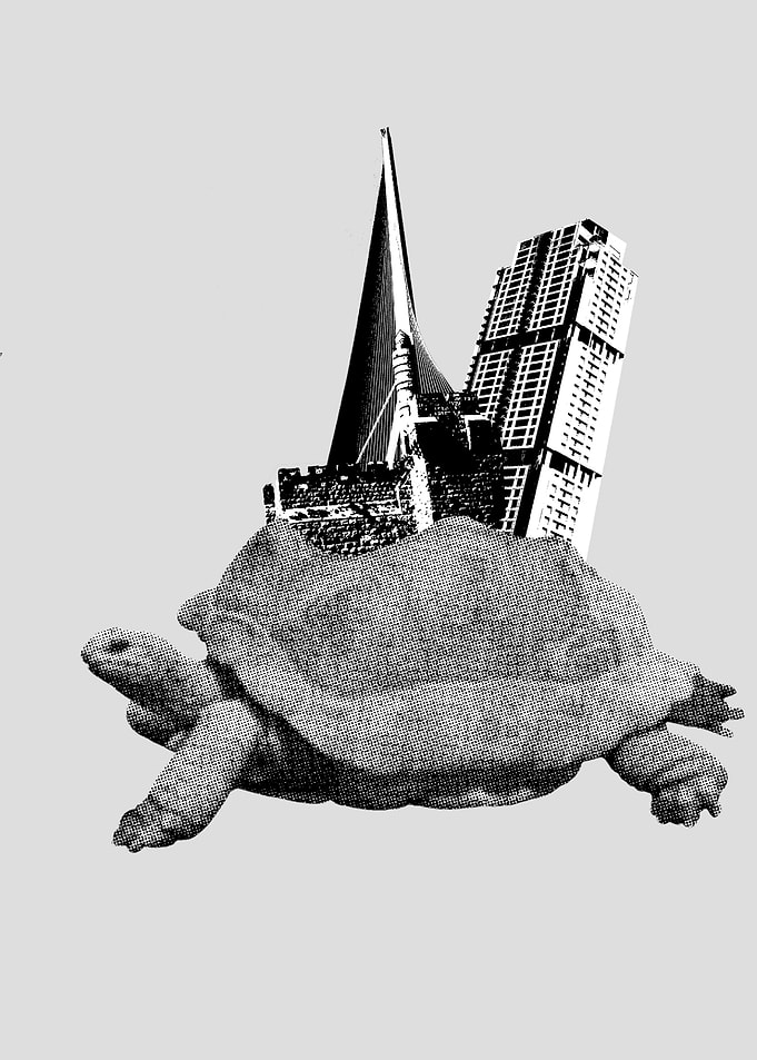 CITY turtle