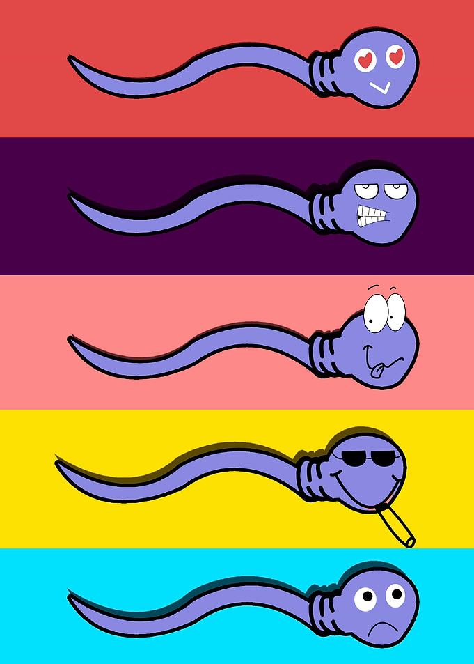 Sperms Types