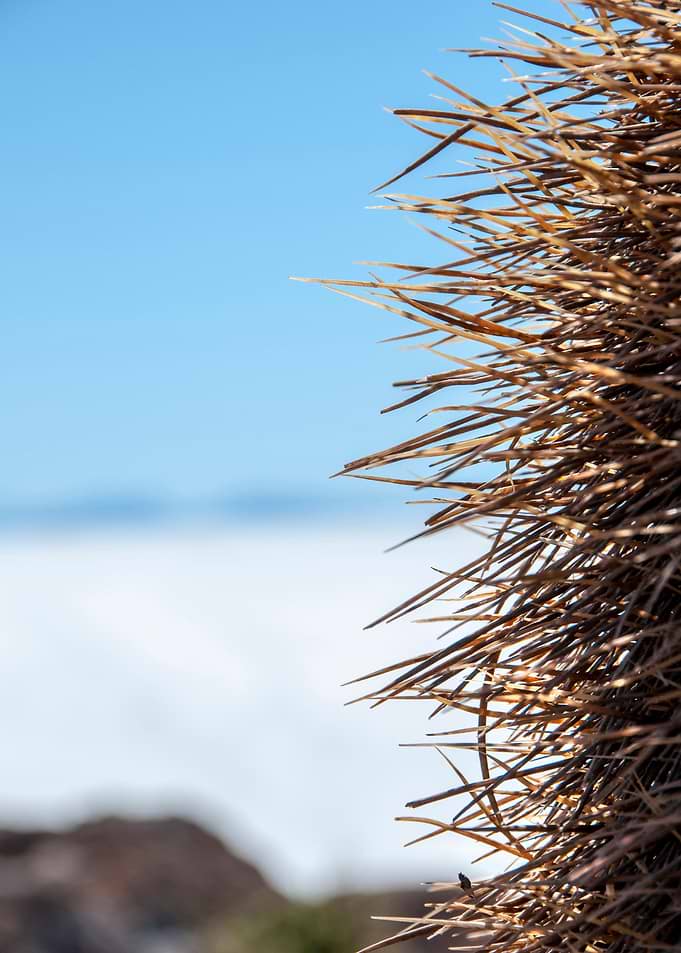salar de uyuni bolivia