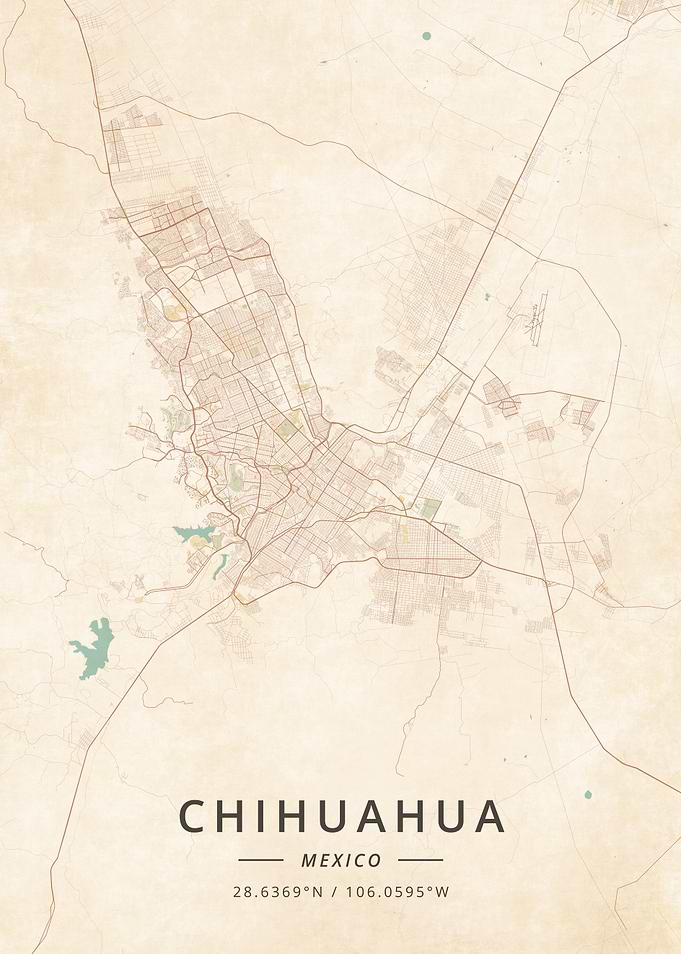 Chihuahua Mexico