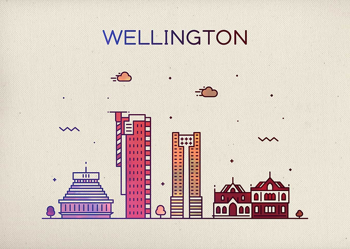 Wellington City Skyline