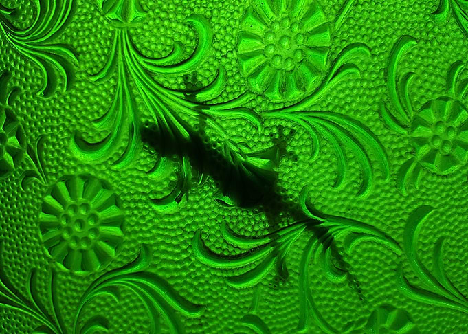 LA SOMBRA DEL LAGARTO