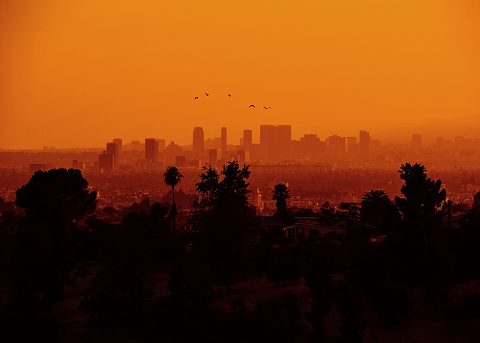 LA View