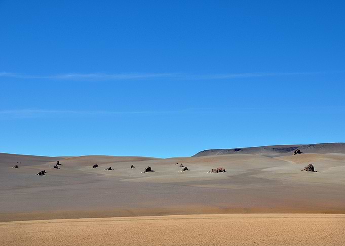 dali desert in the andes