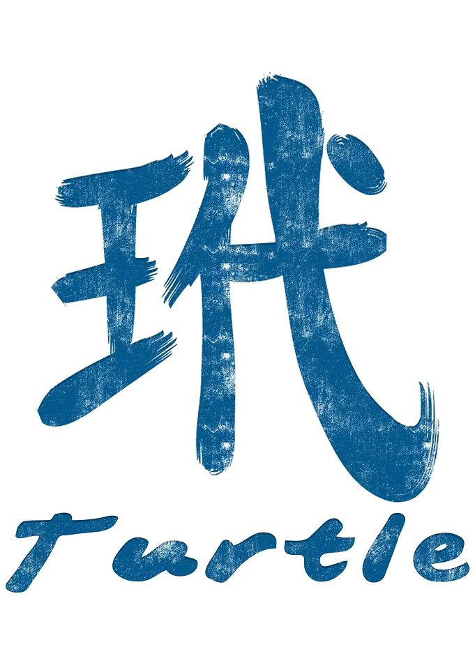 Chinese Character Turtle
