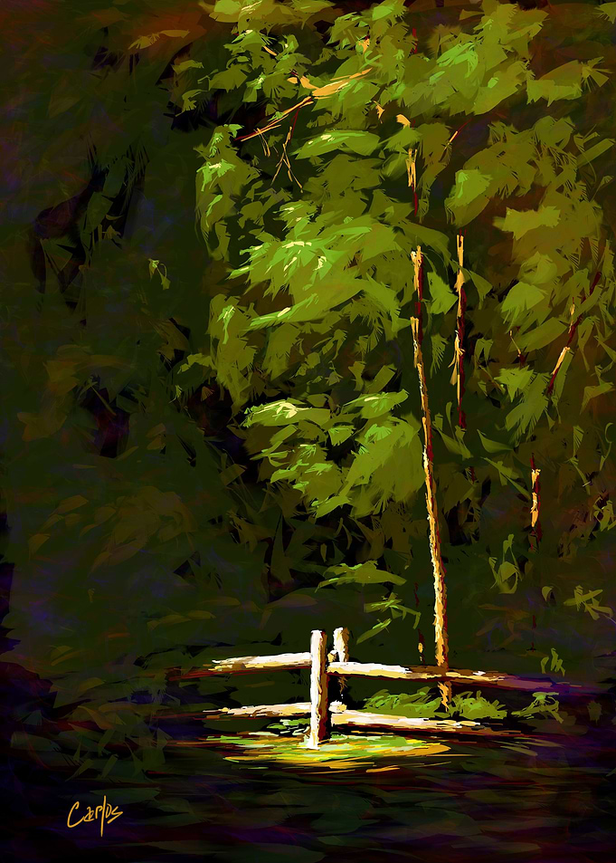 Redwood Trail