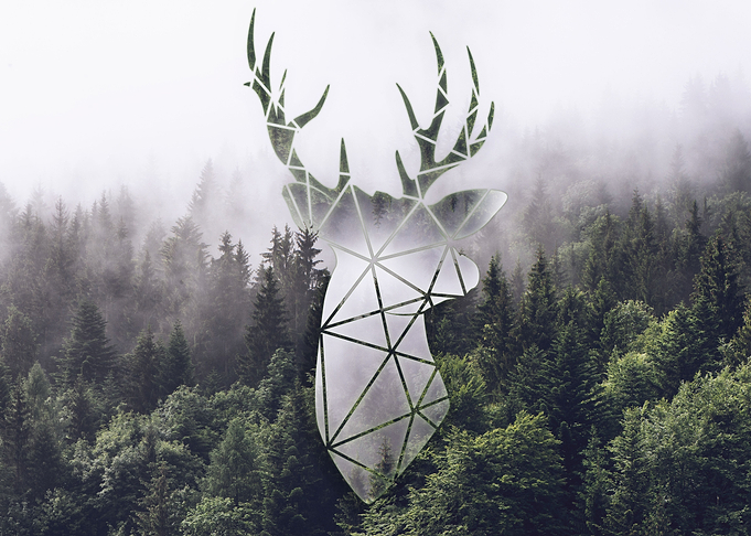 Deerfield