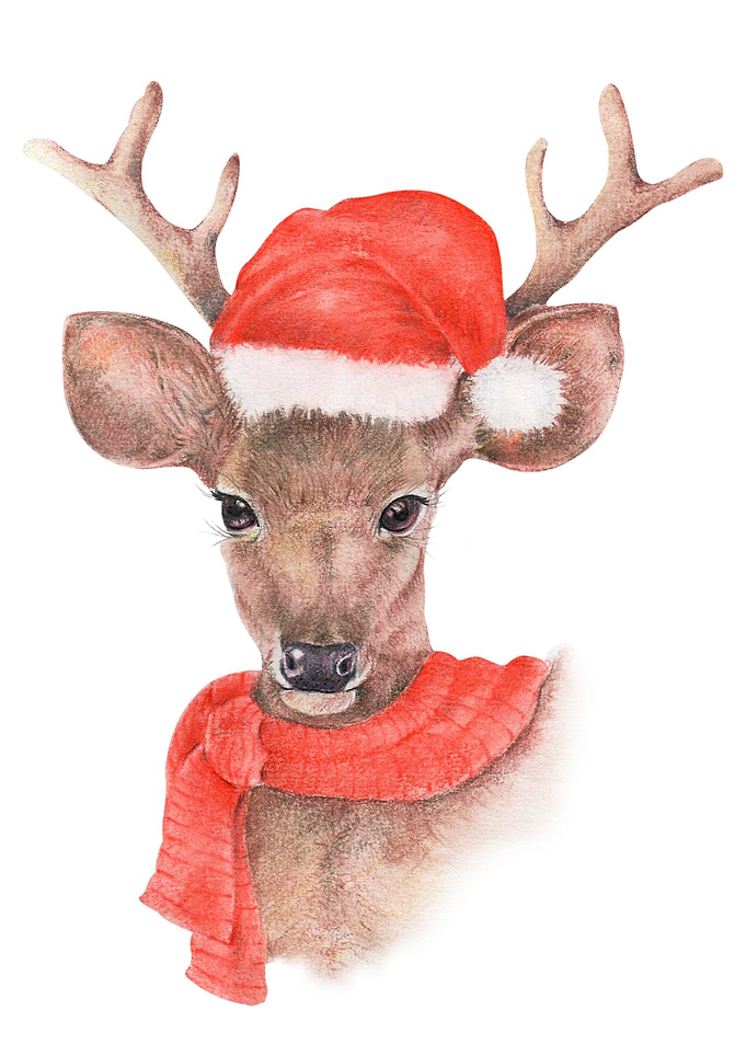 Watercolor and color penci