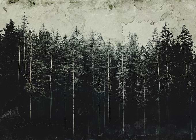 Woodsy Vintage Edition