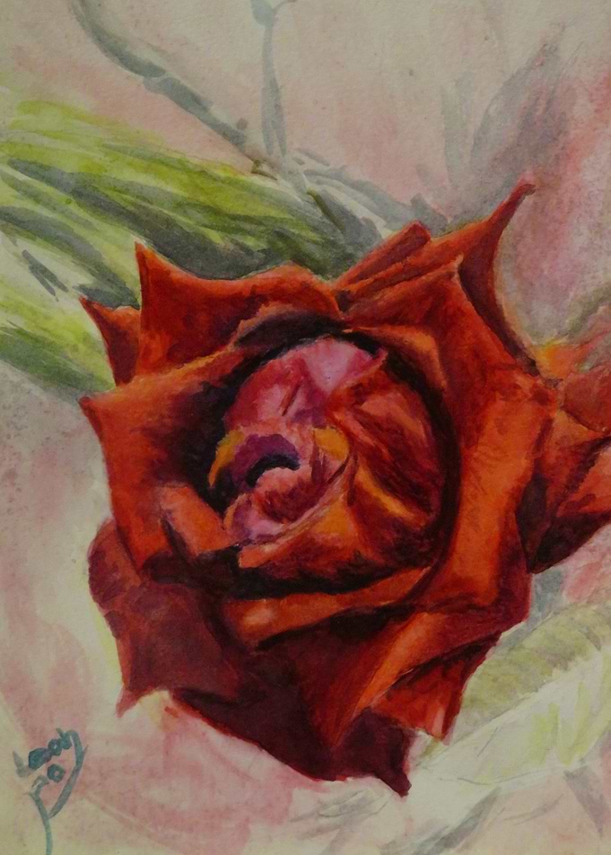 For you a Rose