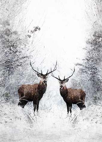 Stag party