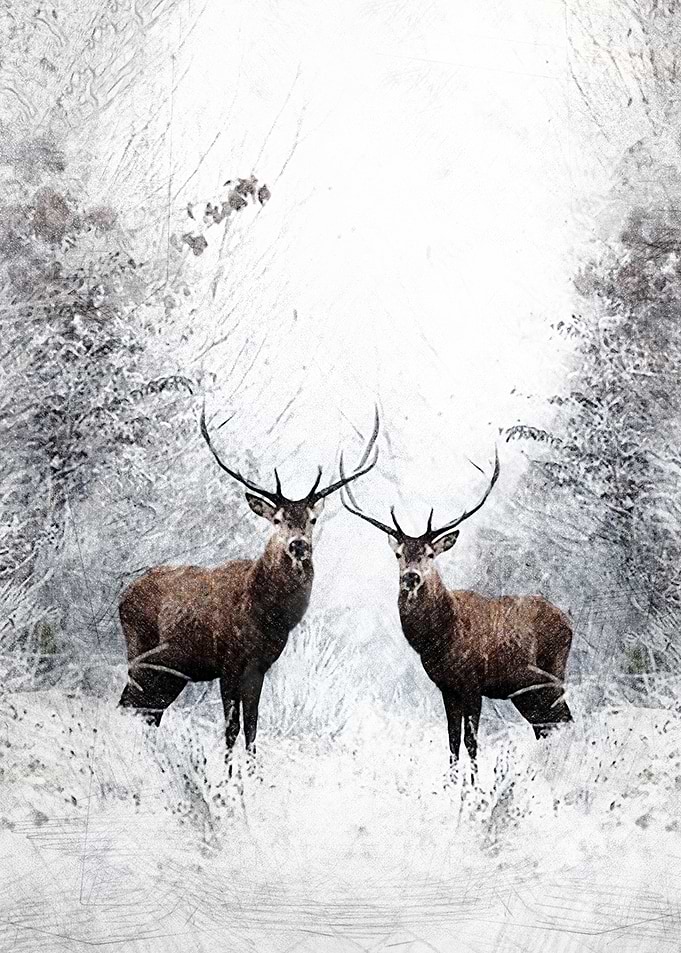 Stag party