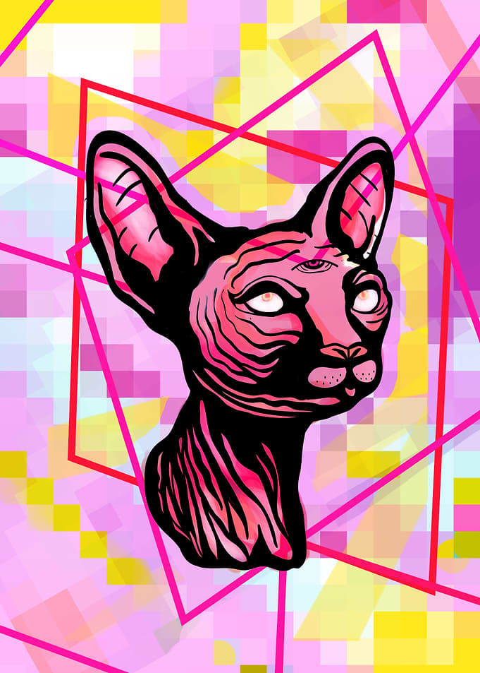 Psychedelic Cat