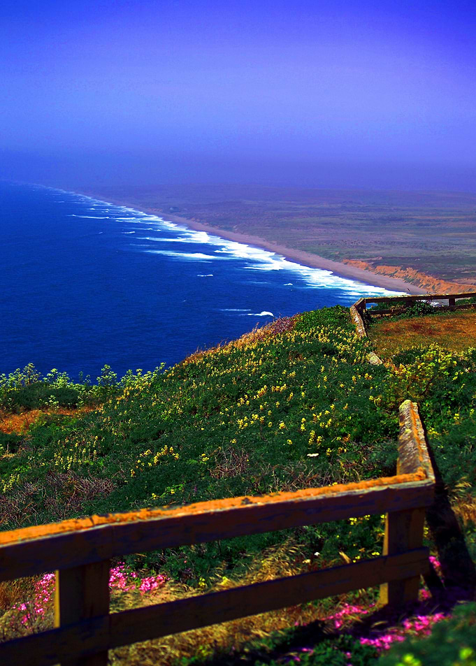 Point Reyes Look Out