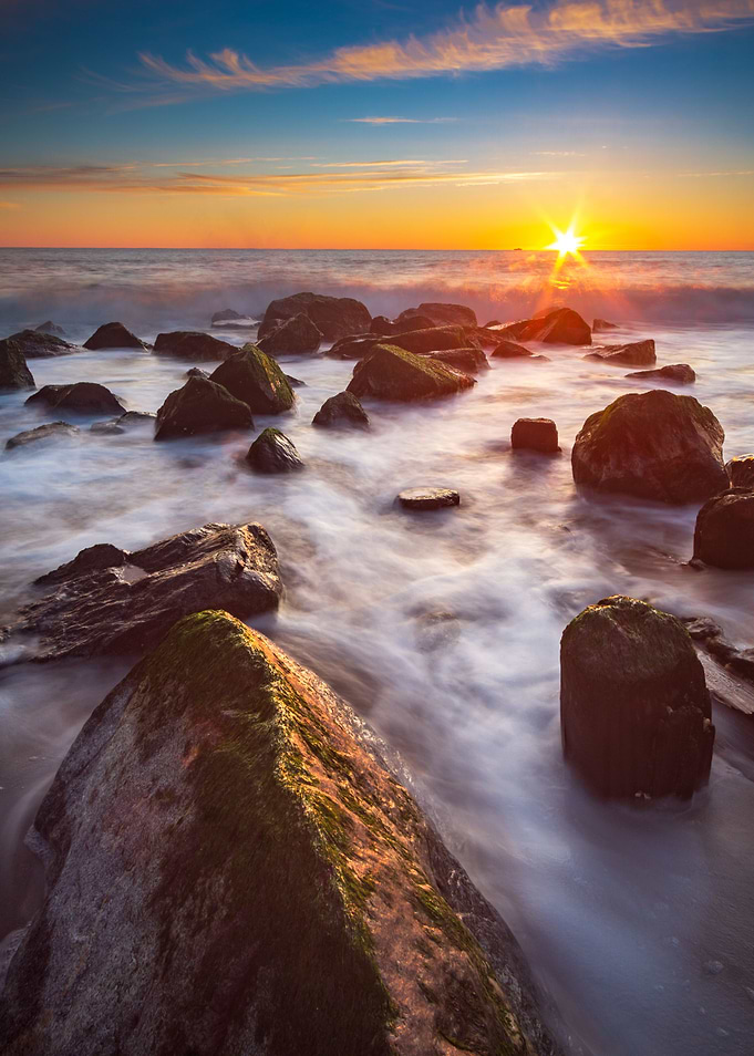 Morning Glory