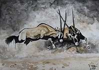 Fighting Oryxes
