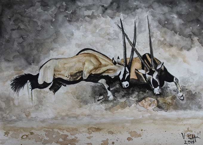 Fighting Oryxes