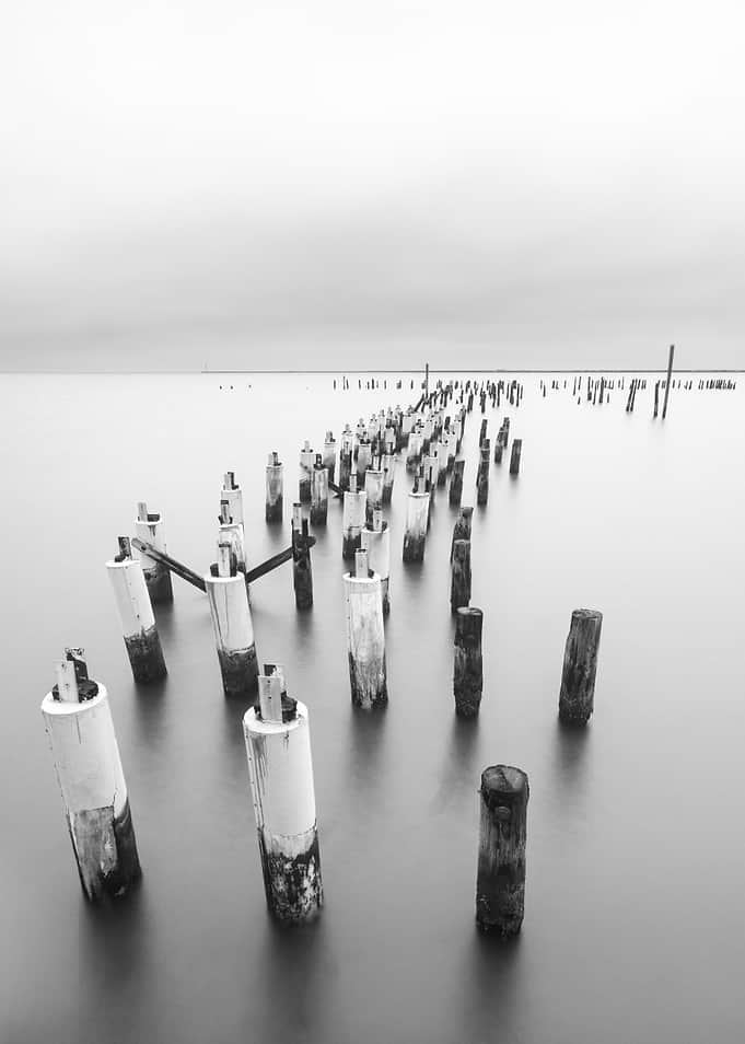 Pier Bones