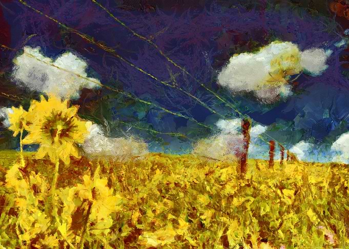 Sunflowers