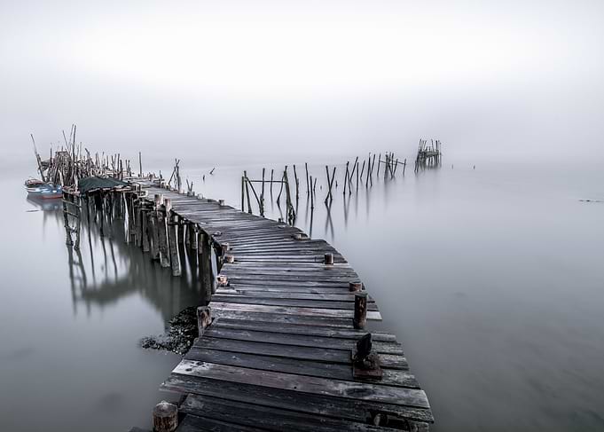 lost in mist