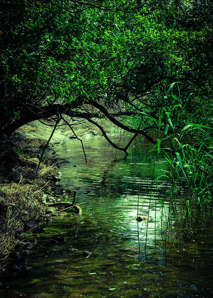 150 Green