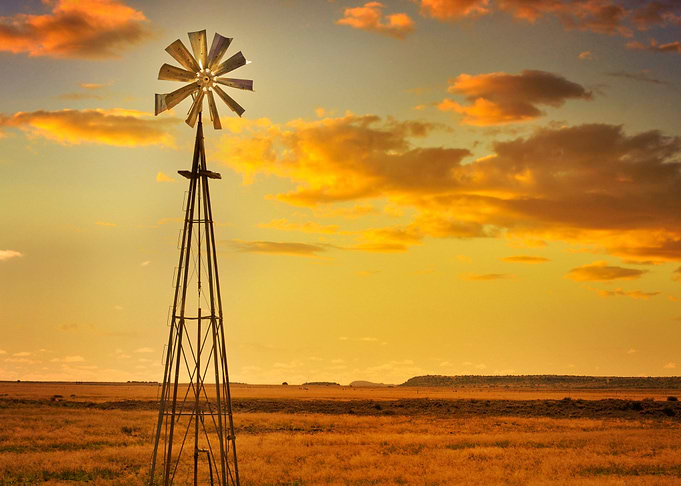 Savannah windmill