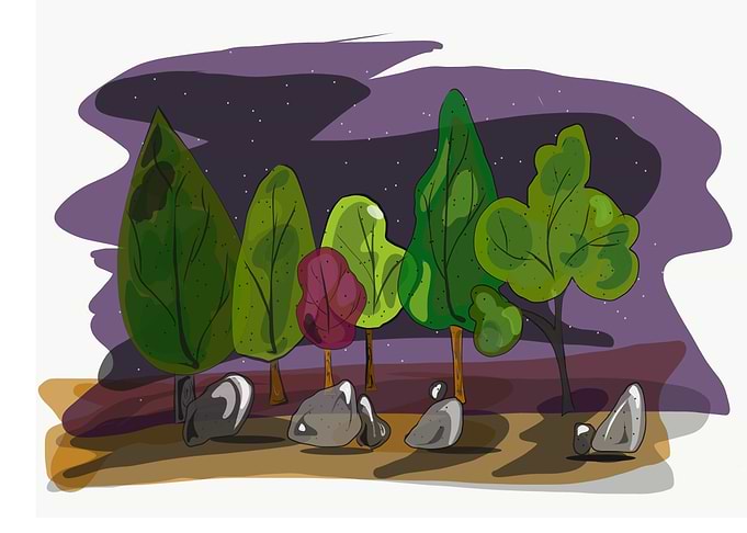 Night Forest
