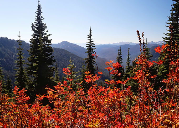 Autumn Splendor