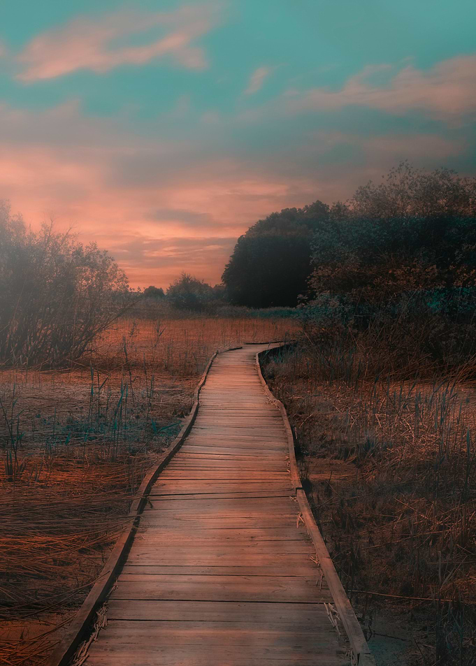 107 Morning walkway