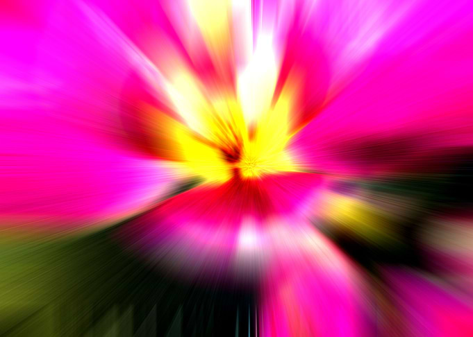 Stretched Orchid