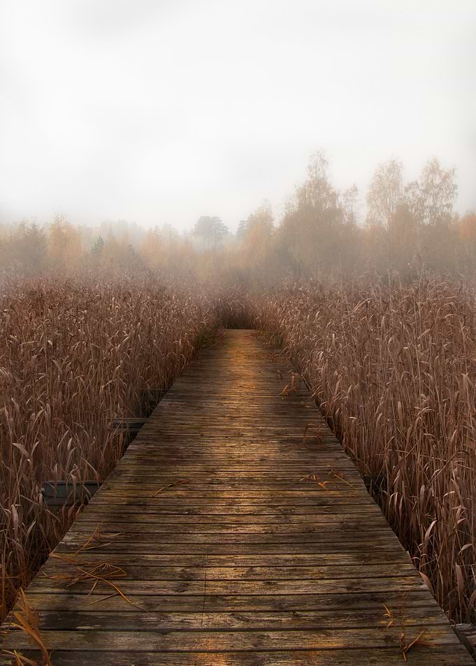 2 Bridge to nowhere