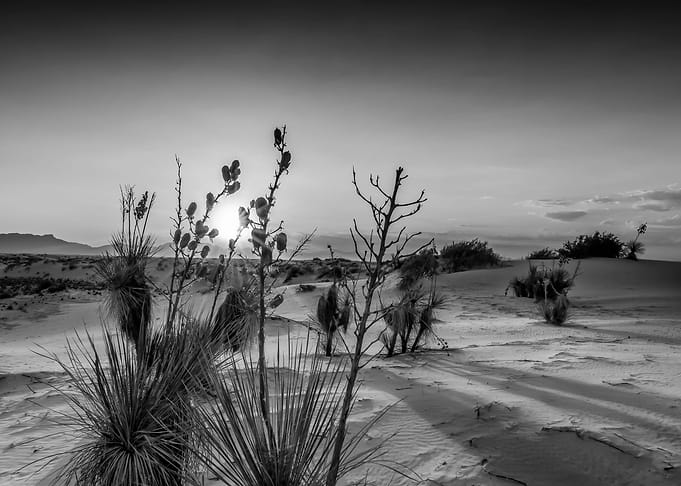 White Sands Sunset