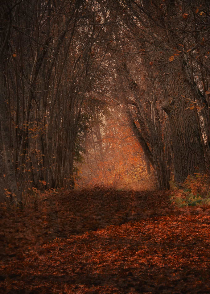 154 Autumn is here