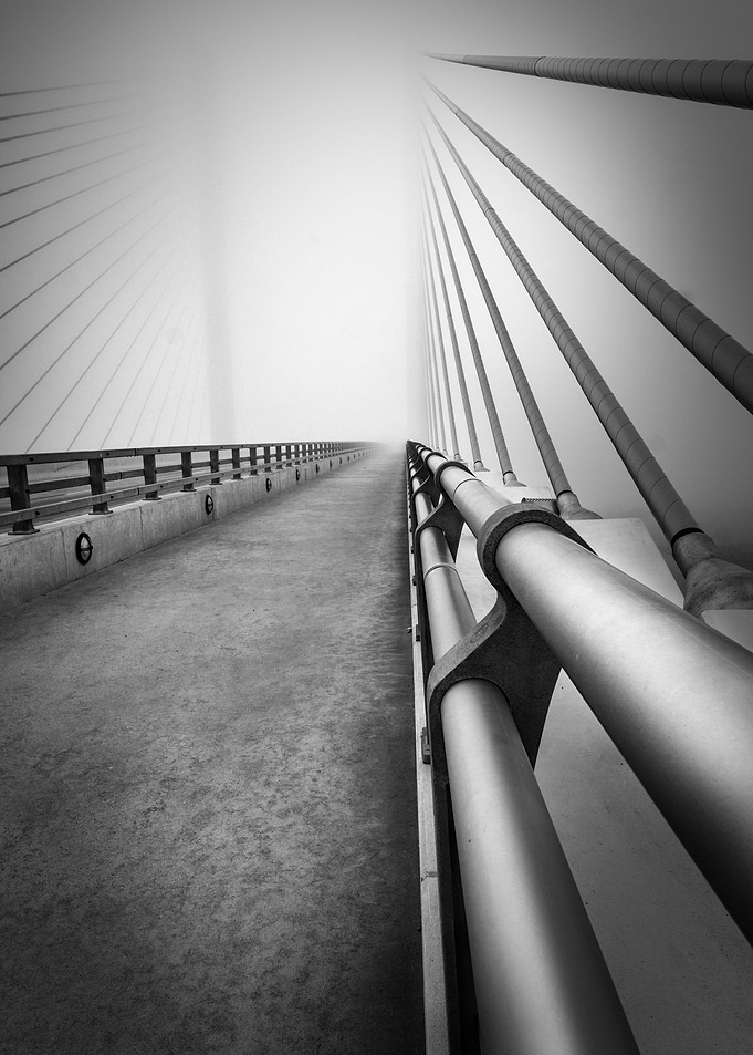 Lines